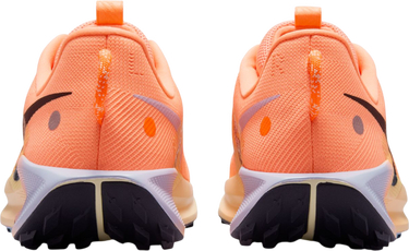 Sneakers och skor Nike Pegasus Trail 5 Orange | dv3864-800, 1