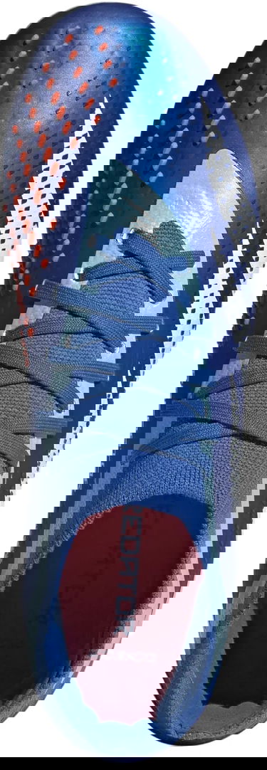 Sneakers och skor adidas Performance PREDATOR ACCURACY.2 FG Blå | gz0027, 1