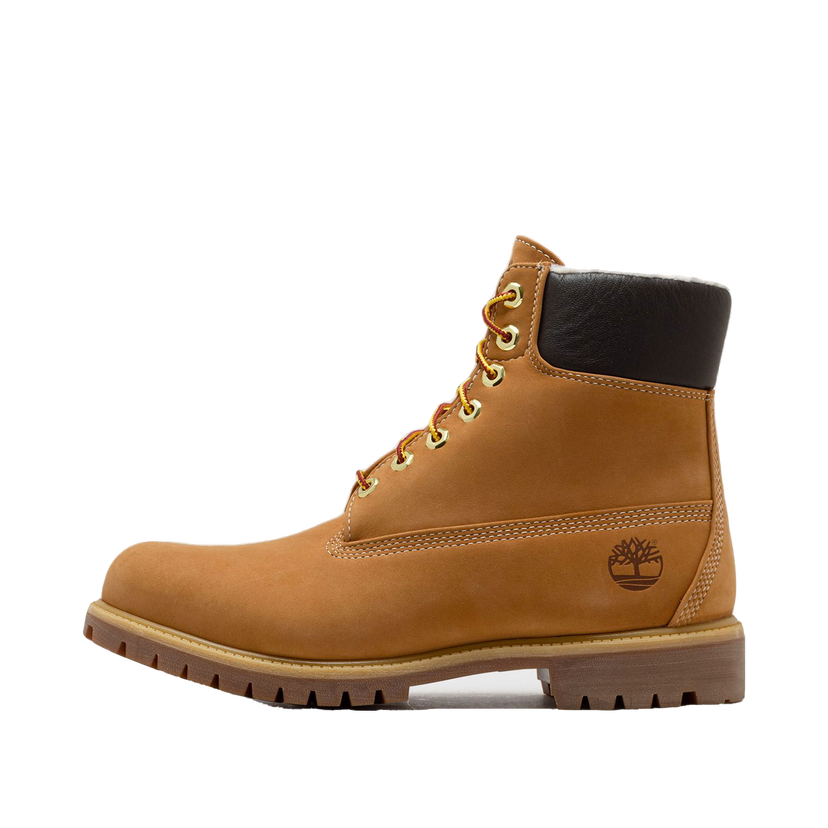 Sneakers och skor Timberland Premium 6 INCH LACE UP WATERPROOF BOOT Brun | TB1A2E312311