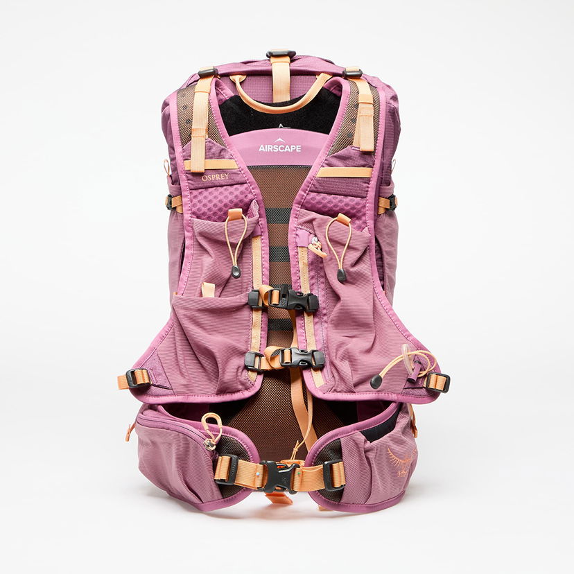 Ryggsäck Osprey Velocity 20 Backpack Purpur | 10043048OSP.01.WML