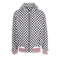 Damier Puffed Hoodie Jacket