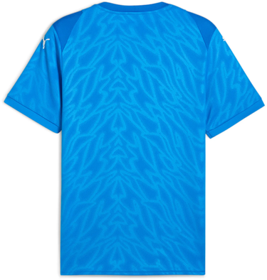 Jersey Puma teamCUP Short Sleeve Patterned Sports Jersey Blå | 706272-02, 1