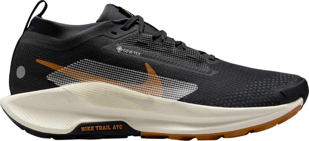 Sneakers och skor Nike Pegasus Trail 5 GORE-TEX Svart | fq0908-007, 0