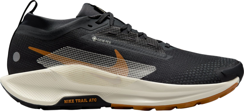 Sneakers och skor Nike Pegasus Trail 5 GORE-TEX Svart | fq0908-007