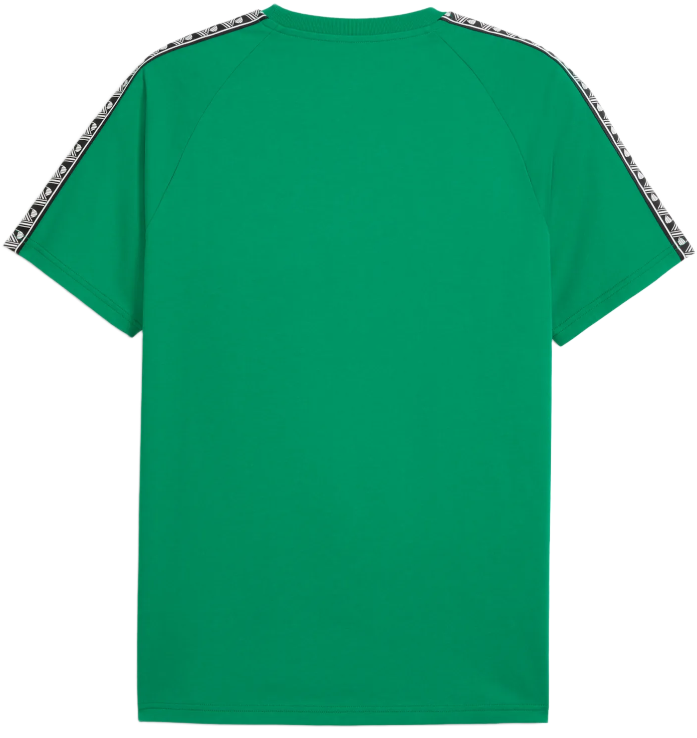 T-shirt Puma teamKING T-Shirt Grön | 660532-05, 1