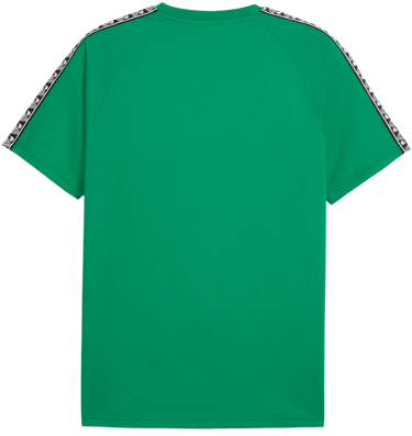 T-shirt Puma teamKING T-Shirt Grön | 660532-05, 1