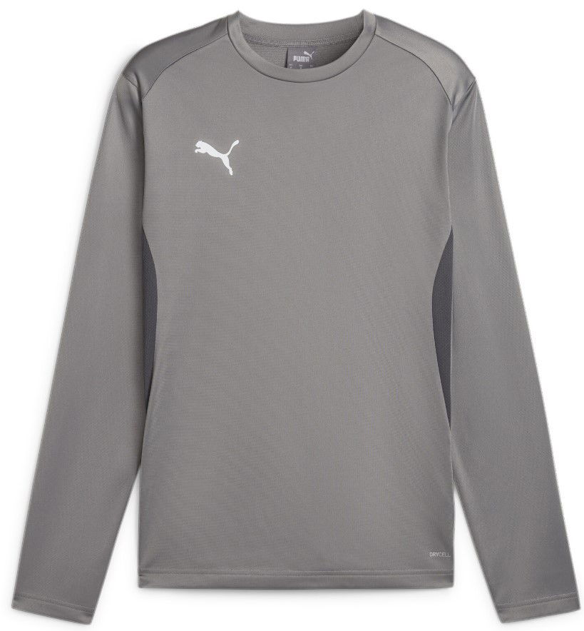 Sweatshirt Puma teamGOAL Training Sweatshirt Grå | 658649-13