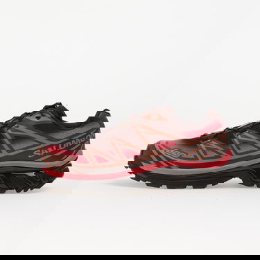 Sneakers och skor Salomon XT-6 Skyline Brun | L47876800, 0