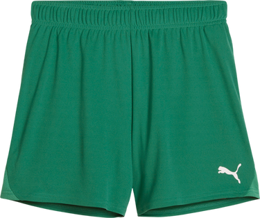 Shorts Puma Puma teamGOAL Handball Shorts Grön | 706019-05, 0