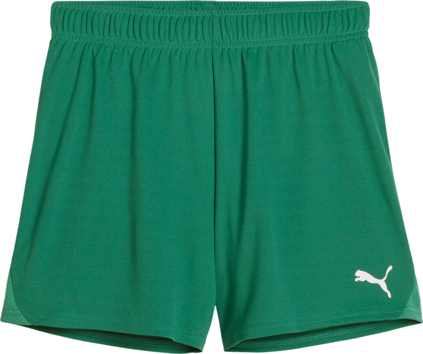 Shorts Puma Puma teamGOAL Handball Shorts Grön | 706019-05