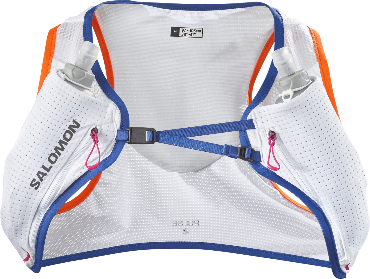 Ryggsäck Salomon PULSE 2 SET Grå | lc2176900, 1