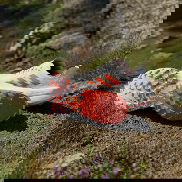 Sneakers och skor adidas Performance Terrex Agravic Speed Vit | ji0954, 6