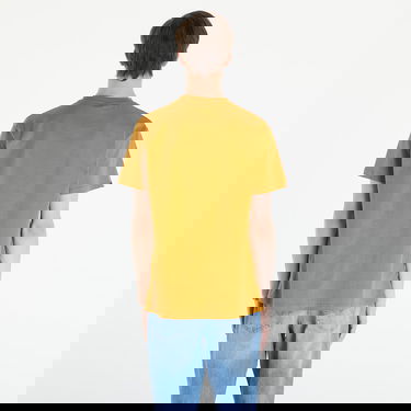 T-shirt Horsefeathers Hf89 T-Shirt Spruce Yellow Gul | SM1342C, 3