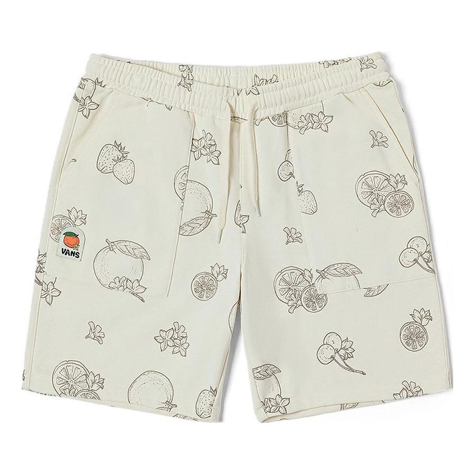 Shorts Vans Knitted Graphic Shorts Vit | VN0008Y0BTA, 0