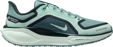 Sneakers och skor Nike Pegasus 41 GORE-TEX Turkos | fq1357-003, 0