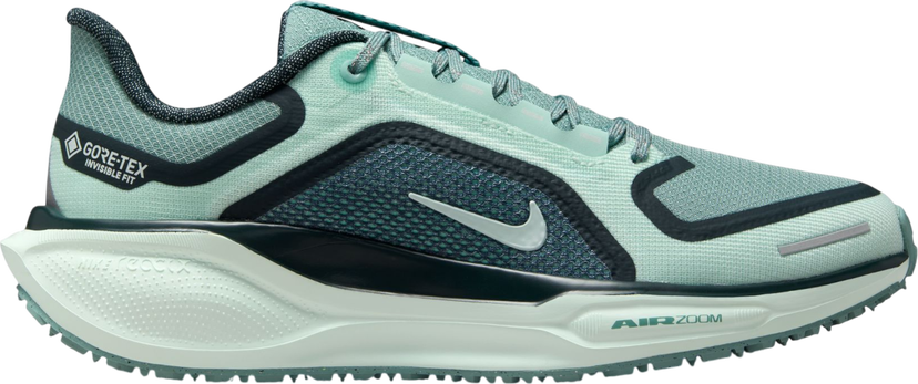Sneakers och skor Nike Pegasus 41 GORE-TEX Turkos | fq1357-003