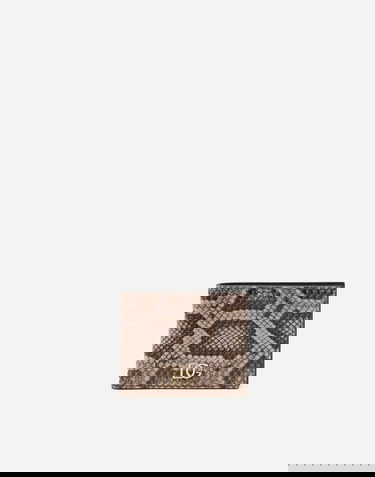 Plånbok Dolce & Gabbana Dolce & Gabbana Python Leather Bifold Wallet with Crossover DG Logo Beige | BP2463A204387145, 0