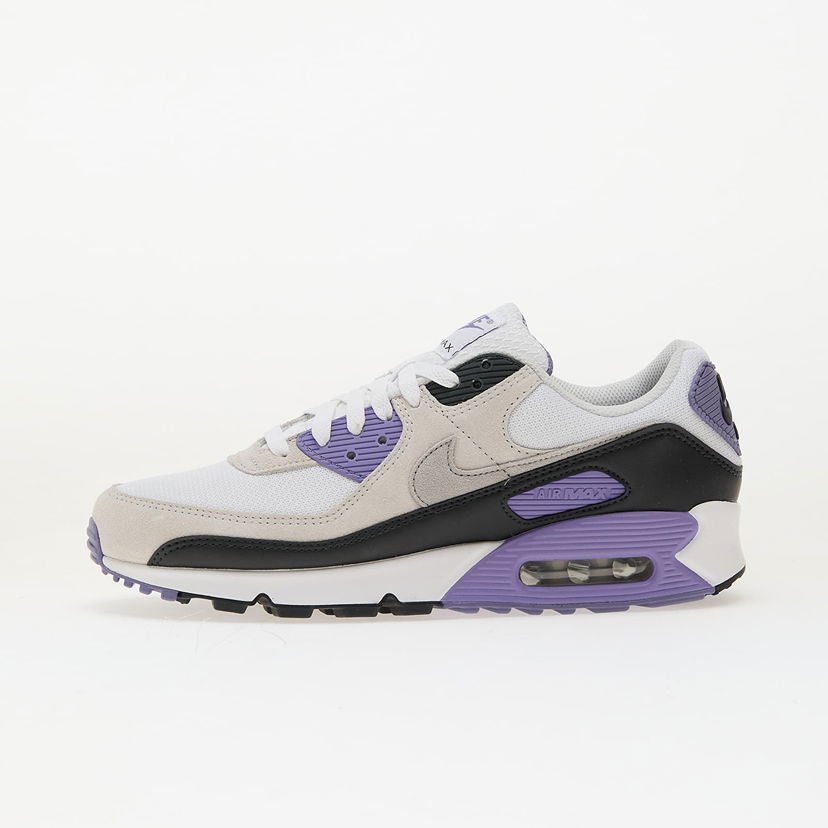 Sneakers och skor Nike Air Max 90 Purpur | DM0029-114