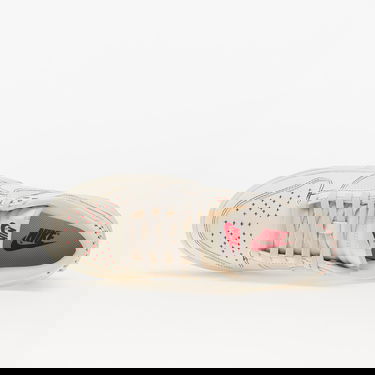 Sneakers och skor Nike Dunk Low "Light Orewood Brown" Beige | DV0834-100, 1