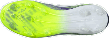 Sneakers och skor adidas Performance F50 Elite Firm Ground Purpur | JH7709, 2