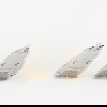 Sneakers och skor Nike Pegasus Trail 5 Gore-Tex Beige | HQ7494-100, 4