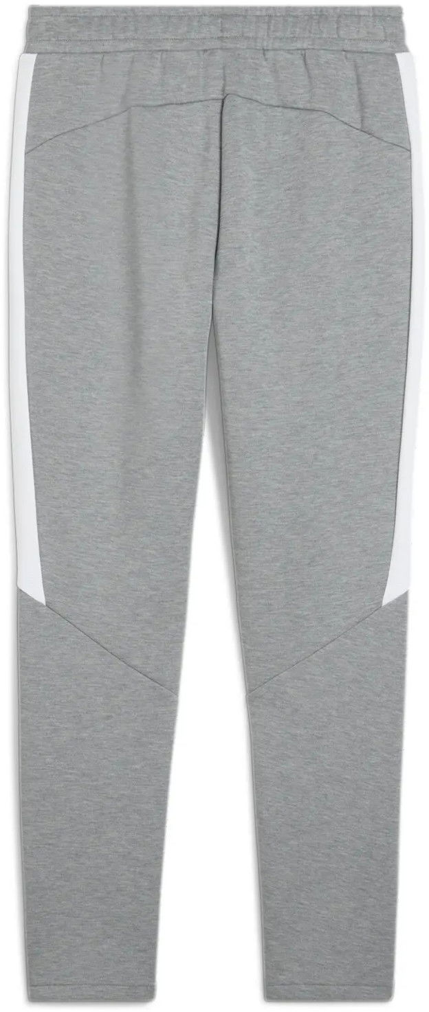 Träningsbyxor Puma Puma teamEVOSTRIPE Pants Grå | 659948-33, 1
