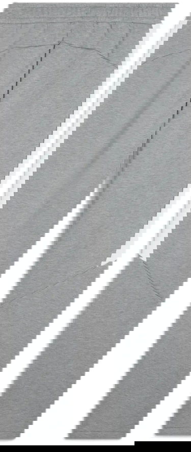 Träningsbyxor Puma Puma teamEVOSTRIPE Pants Grå | 659948-33, 1