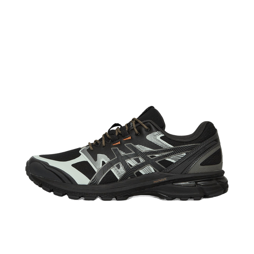 Sneakers och skor Asics GEL-Terrain Svart | 1203A342-002