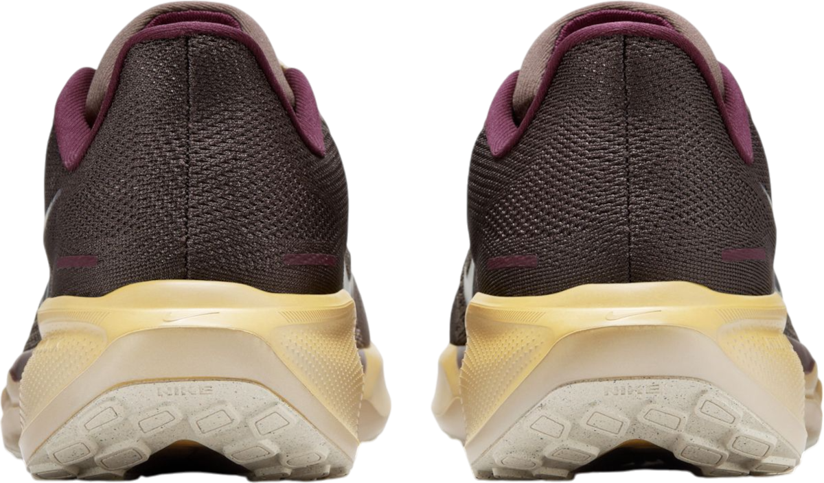 Sneakers och skor Nike Pegasus 41 Premium Brun | hv4327-299, 1