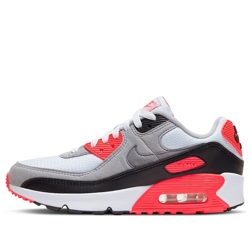 Sneakers och skor Nike Air Max 90 Grå | DC8334-100