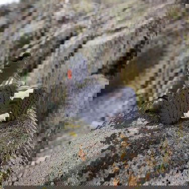 Sneakers och skor adidas Performance Eastrail 2.0 Mid RAIN.RDY Brun | ID3455, 4