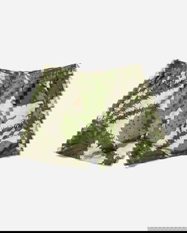 Shorts Nike ACG Reservoir Goat Shorts Grön | HV0595-229, 1