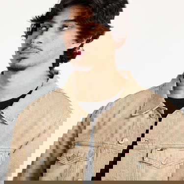 Jacka Tommy Hilfiger Tommy Jeans Ryan Regular Trucker Denim Jacket Beige | DM0DM21857 1CE, 1