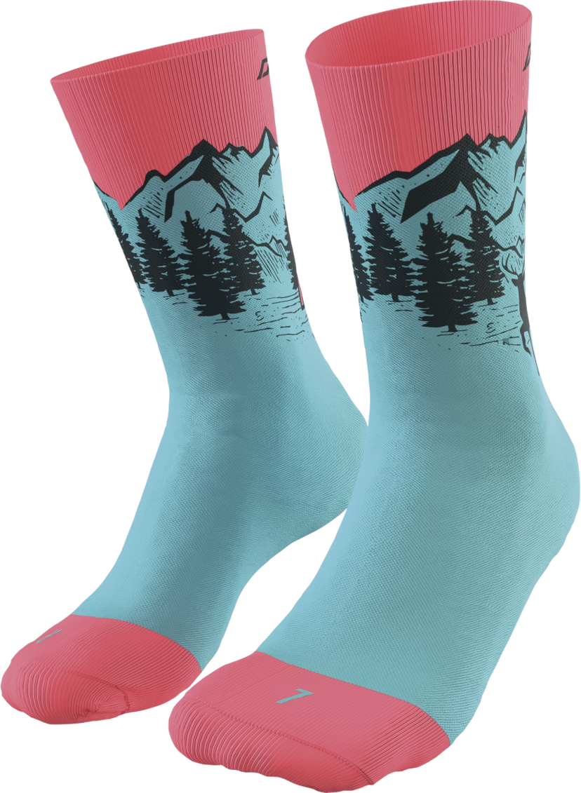 Strumpor Dynafit Dynafit Stay Fast Socks Turkos | 08-0000071526-8051