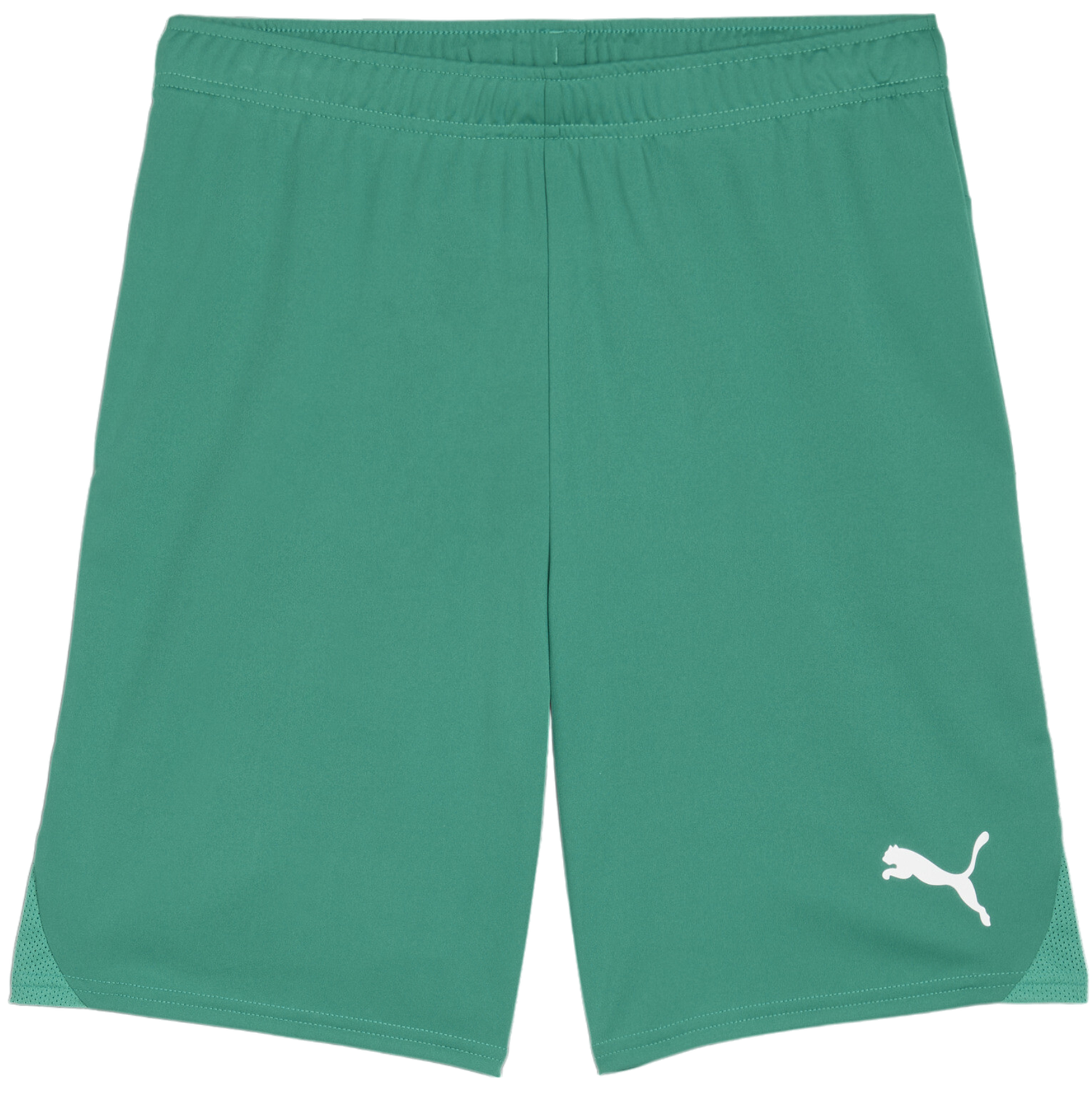 Shorts Puma teamGOAL Shorts Grön | 705752-05, 0