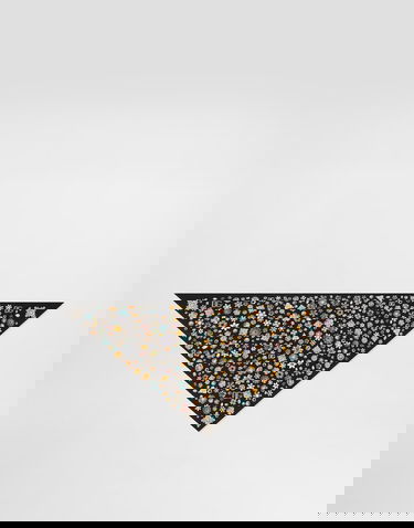 Halsduk Dolce & Gabbana Dolce & Gabbana Silk Twill Jewel Print Stole Svart | FS326AGDDAYHN5SA, 2