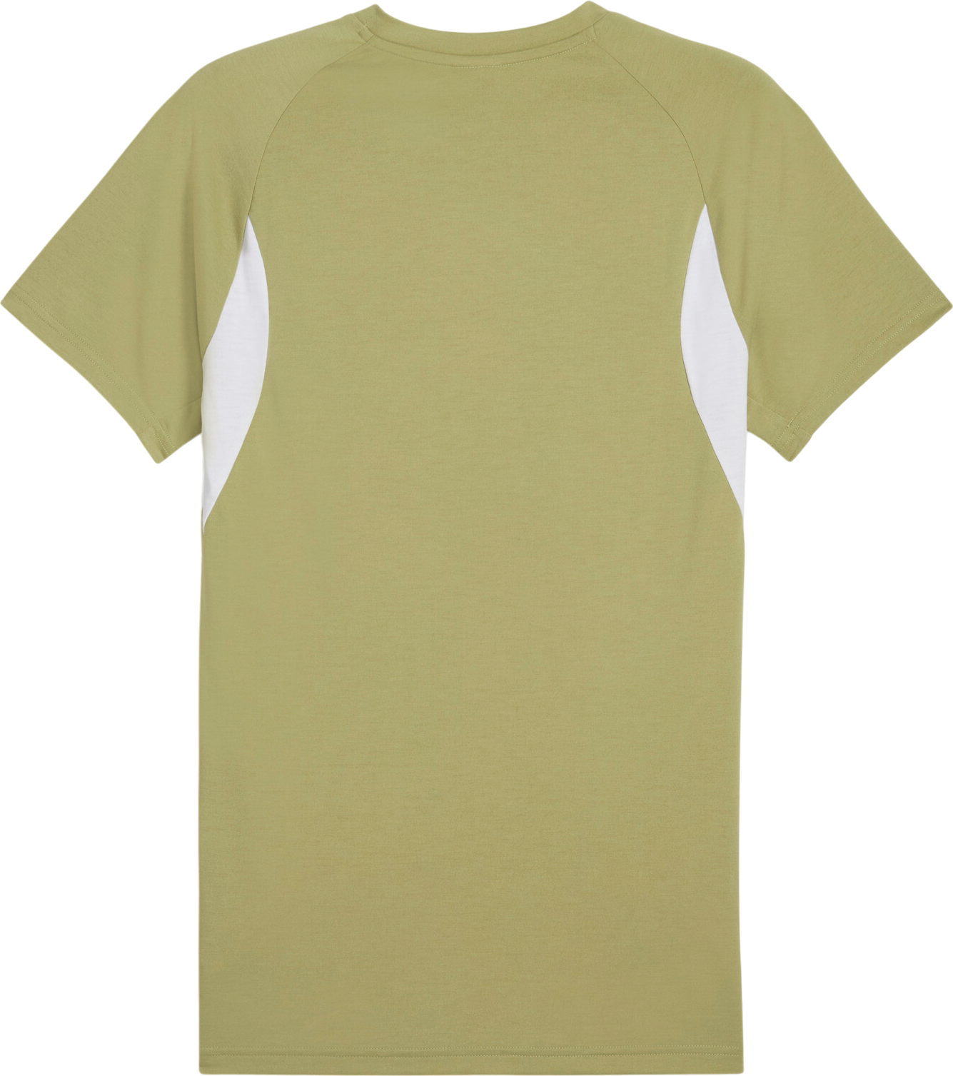 T-shirt Puma Puma teamEVOSTRIPE T-Shirt Grön | 659953-40, 1