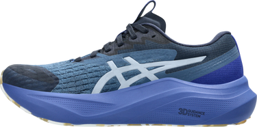 Sneakers och skor Asics GT-2000 14 LITE-SHOW Blå | 1012b901-400, 4