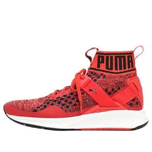 Sneakers och skor Puma Ignite EvoKnit Röd | 189697-02, 0