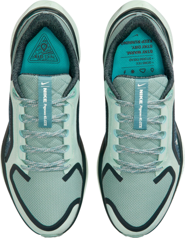 Sneakers och skor Nike Pegasus 41 GORE-TEX Turkos | fq1357-003, 2