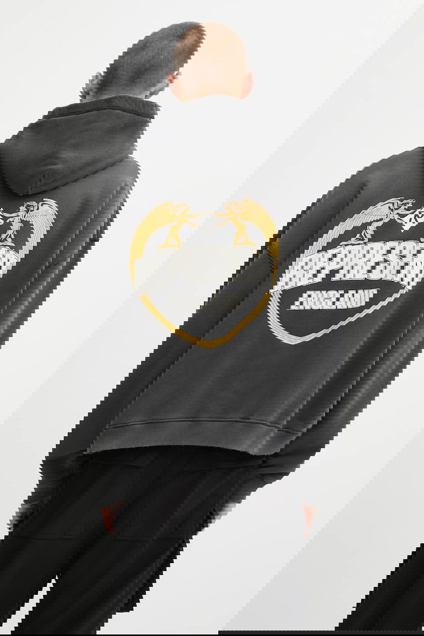 Sweatshirt Represent Clo Represent Legacy Crest Hoodie Grå | MLM100368, 0