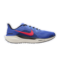 Air Zoom Pegasus 41