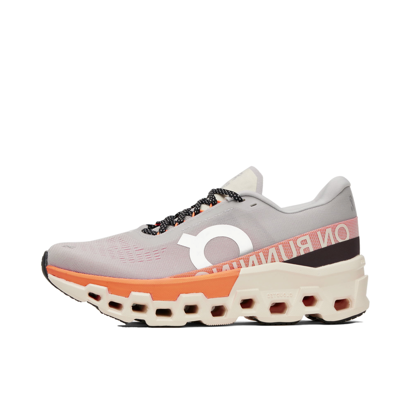 Sneakers och skor On Running Cloudmonster 2 Grå | 3ME10123198