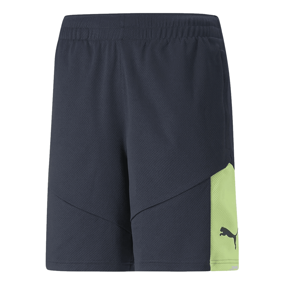 Shorts Puma INDIVIDUALRISE Shorts Flerfärgad | 657538-47, 0