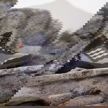 Sneakers och skor adidas Performance Eastrail 2.0 Mid RAIN.RDY Brun | ID3455, 1