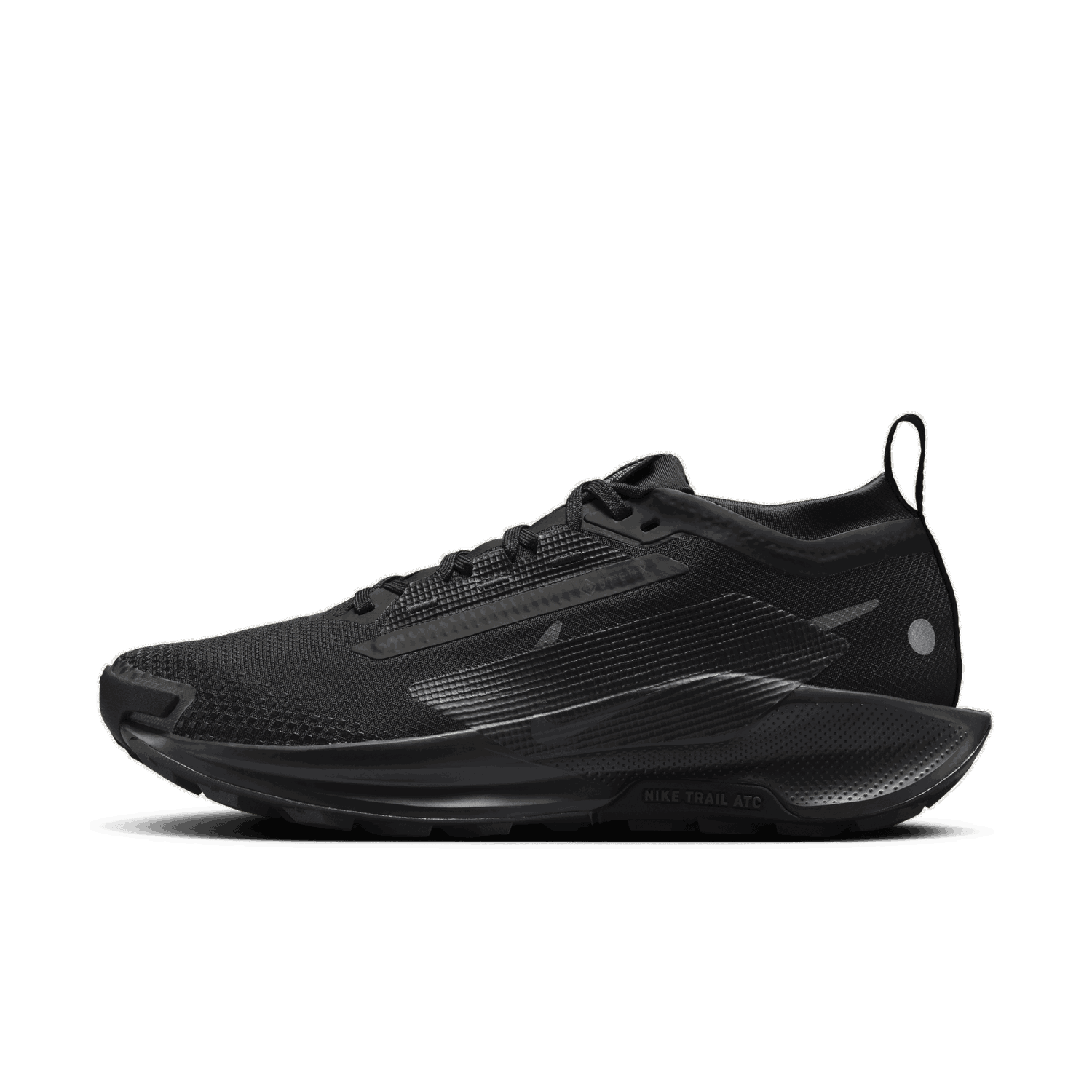 Sneakers och skor Nike Pegasus Trail 5 GORE-TEX Svart | FQ0912-002, 0