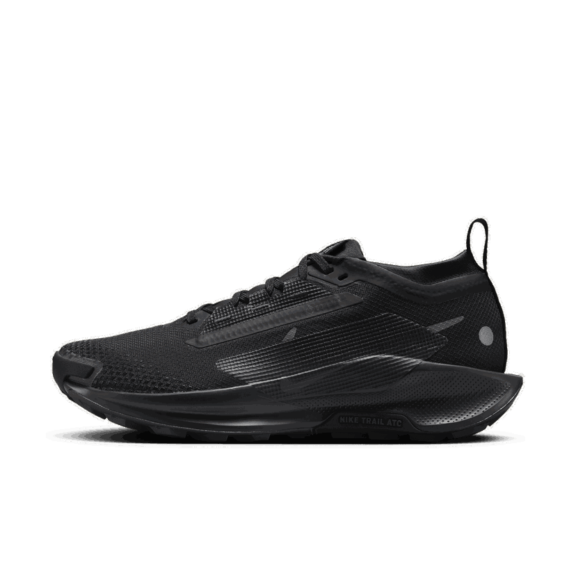 Löpning Nike Pegasus Trail 5 GORE-TEX Svart | FQ0912-002