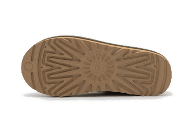 Sneakers och skor UGG Tasman Burnt Olive Gum Grön | 5955-BTOL, 2