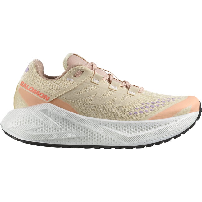Sneakers och skor Salomon Aero Glide 3 Gravel Beige | L47812500