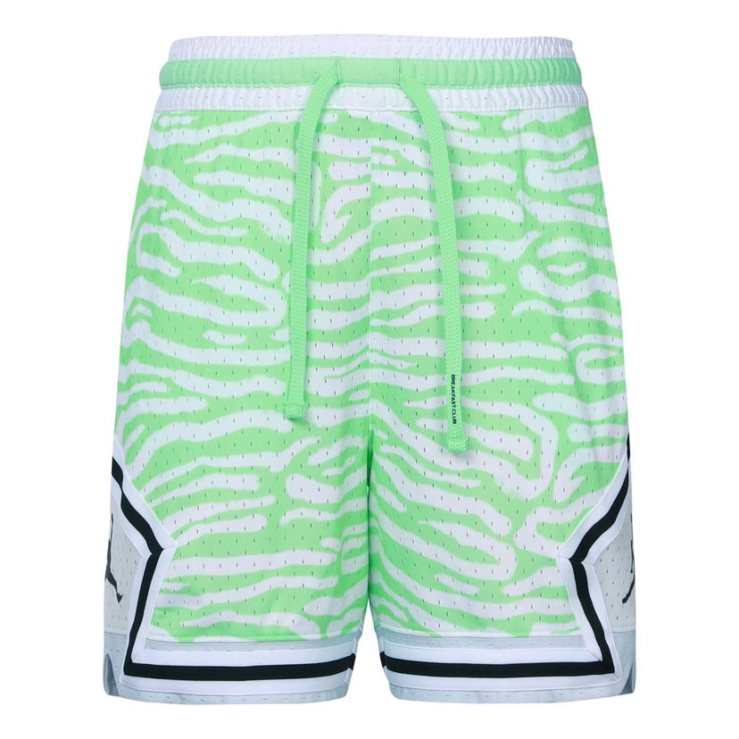 Shorts Jordan Jordan Dri-FIT Diamond Stripe Basketball Shorts Grön | DM2819-379